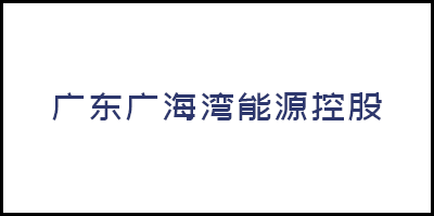 廣東廣海灣能(néng)源控股有限公司